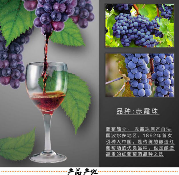 圖片關(guān)鍵詞