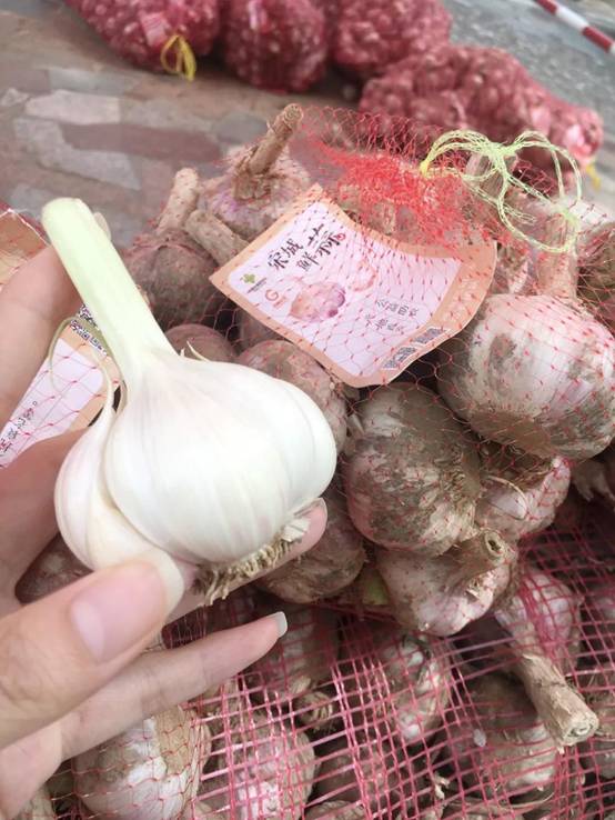 1526289981786156.jpg 9.jpg