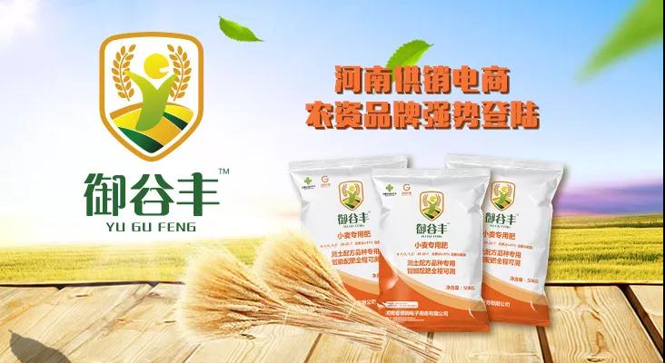 河南省供銷電子商務(wù)有限公司 河南省供銷電子商務(wù)有限公司