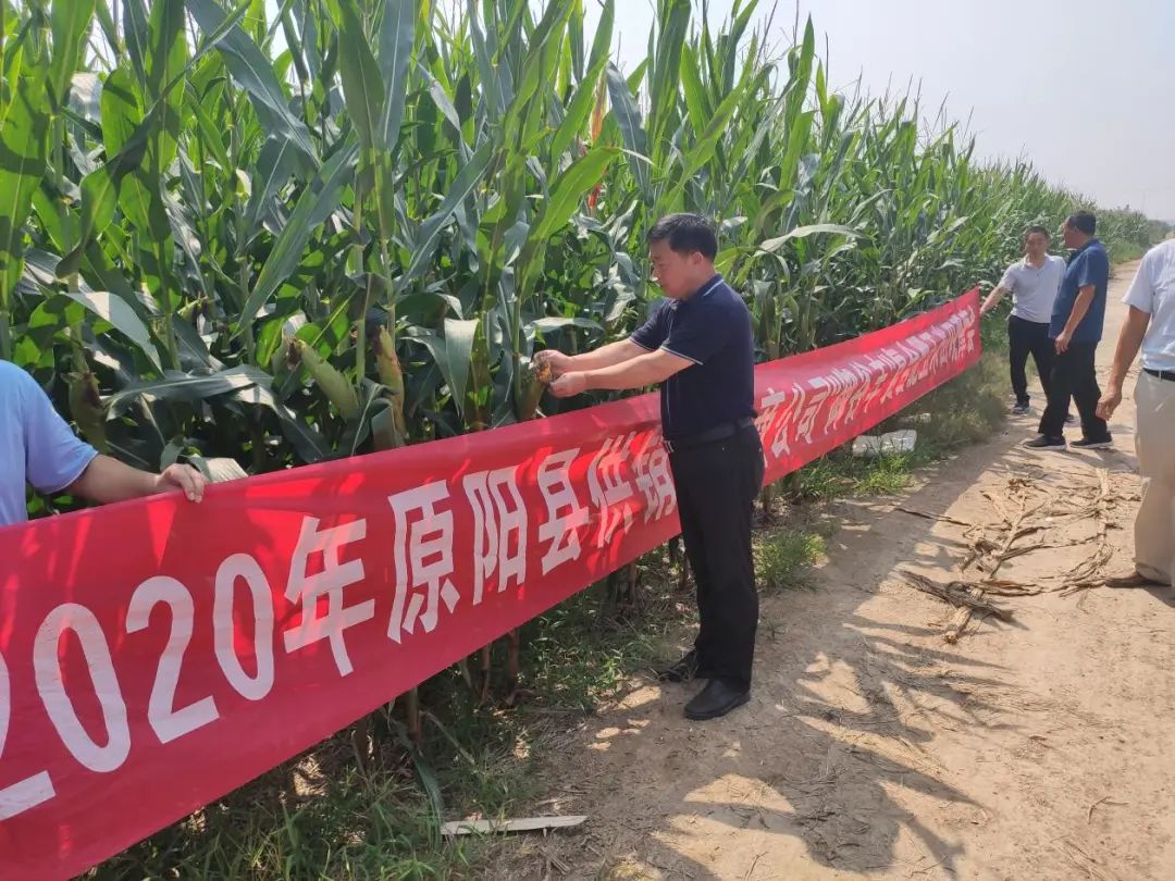 1599620065132027.jpg 圖片關(guān)鍵詞