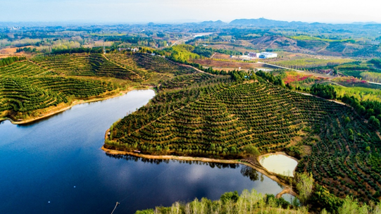 1606358400280671.png blob.png