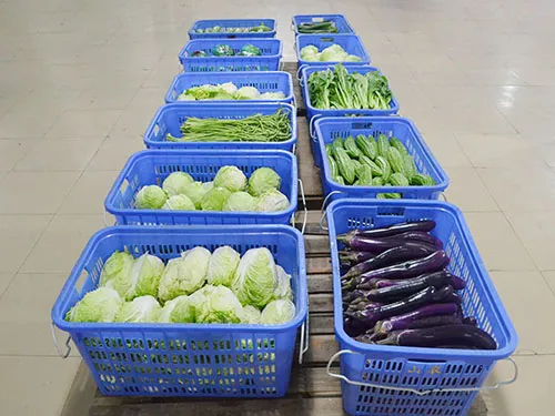 圖片關(guān)鍵詞 圖片關(guān)鍵詞